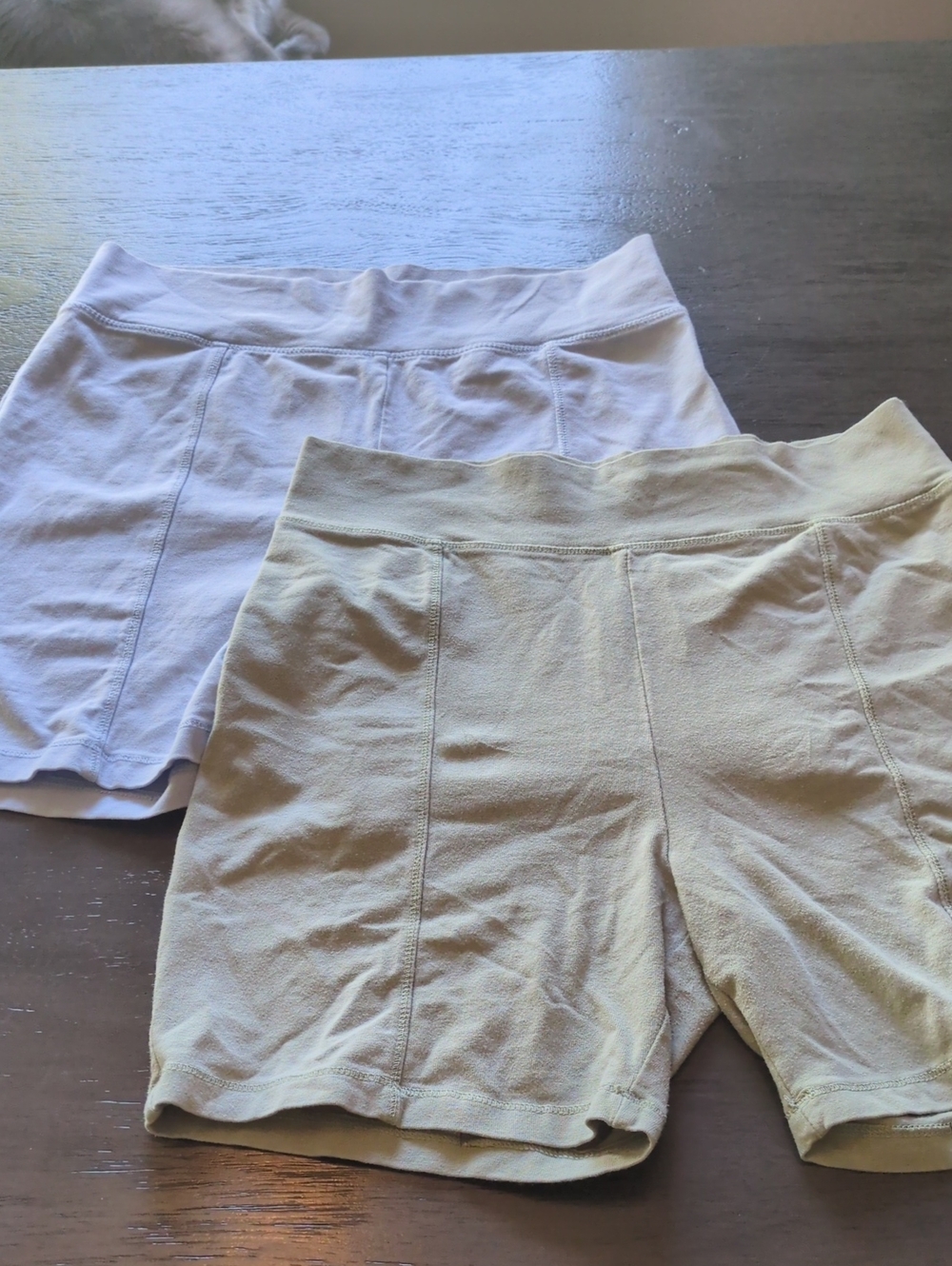 Girls Bike Shorts in Green and Light Blue